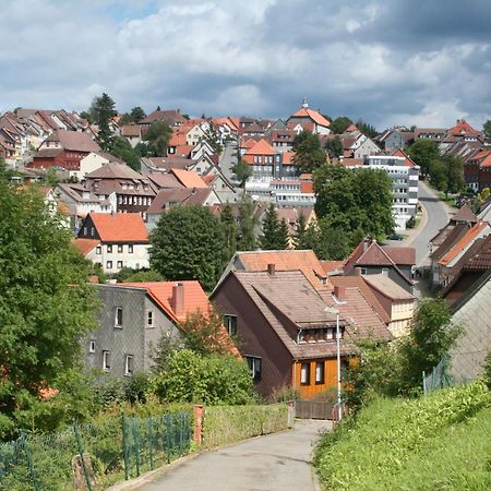 Ferienwohnung Wiesenblick Mit Terrasse Im Landhaus Fischer Sankt Andreasberg Ngoại thất bức ảnh